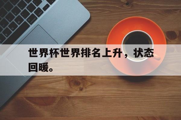 九游（中国）-世界杯世界排名上升，状态回暖。
