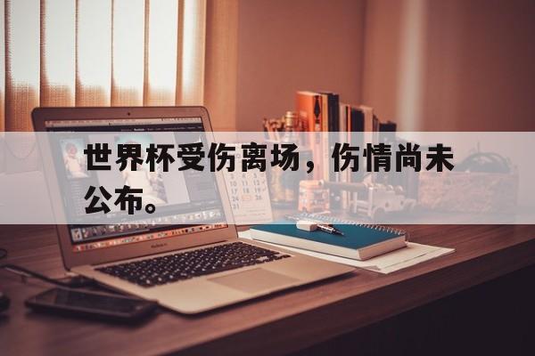 世界杯受伤离场，伤情尚未公布。